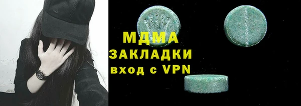 гидра Богородицк